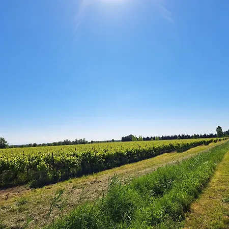 Romantische Bauernhofvilla Inmitten Der Weinberge * Salles-dʼAude
