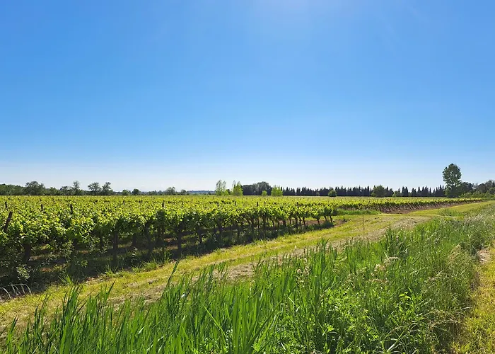 Villa Romantische Bauernhofvilla Inmitten Der Weinberge