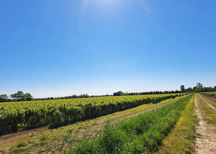 Romantische Bauernhofvilla Inmitten Der Weinberge * Salles-dʼAude