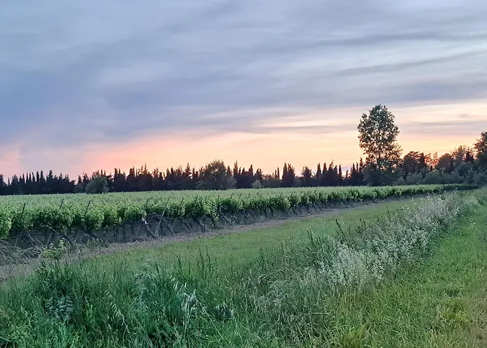 Romantische Bauernhofvilla Inmitten Der Weinberge * Salles-dʼAude